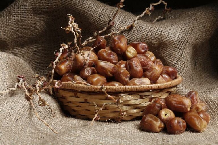 Kurma online